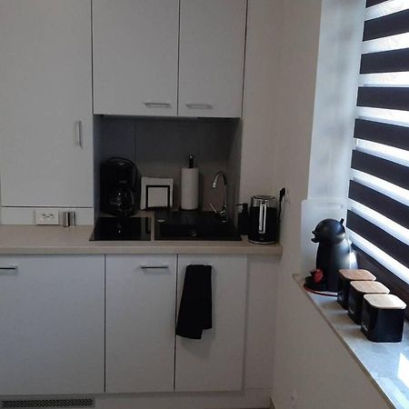 Studio Fibra Metrio Rybnik  Extérieur photo